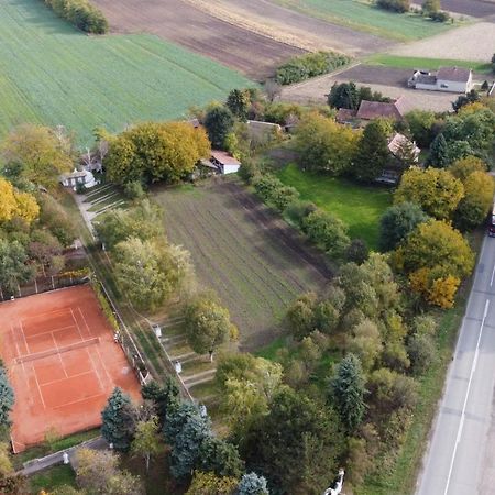B&B Villa Pipacs Feketić Екстериор снимка
