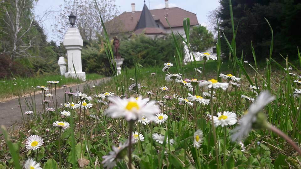 B&B Villa Pipacs Feketić Екстериор снимка